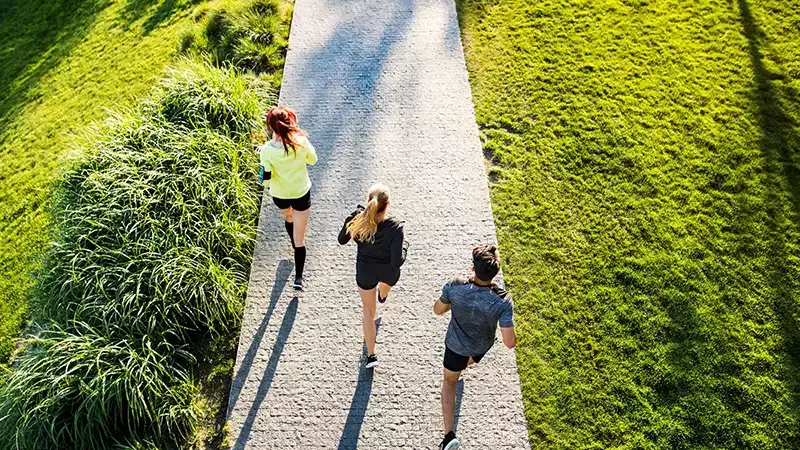 Grove Ridge Townhouses-Grove Ridge-Emaar South-Dubai South-Dubai - 12